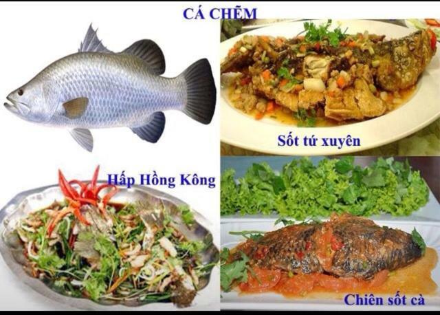 Khach San Thu Linh Hotel Thanh Hóa Kültér fotó